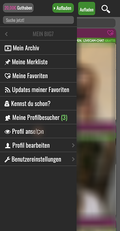 Mobile menu