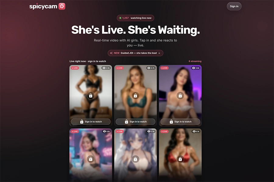 AI cam loops
