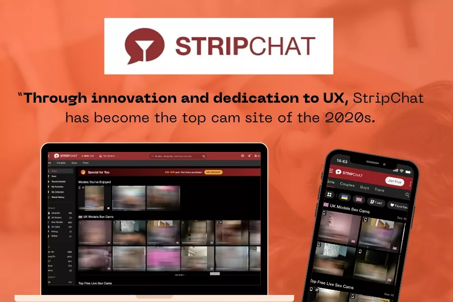 StripChat review image
