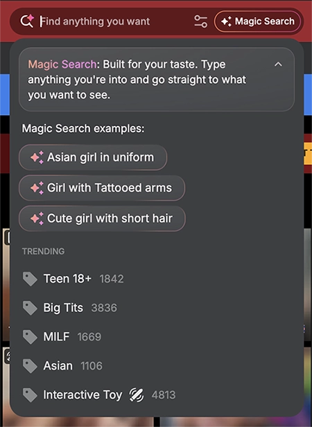StripChat Magic Search small