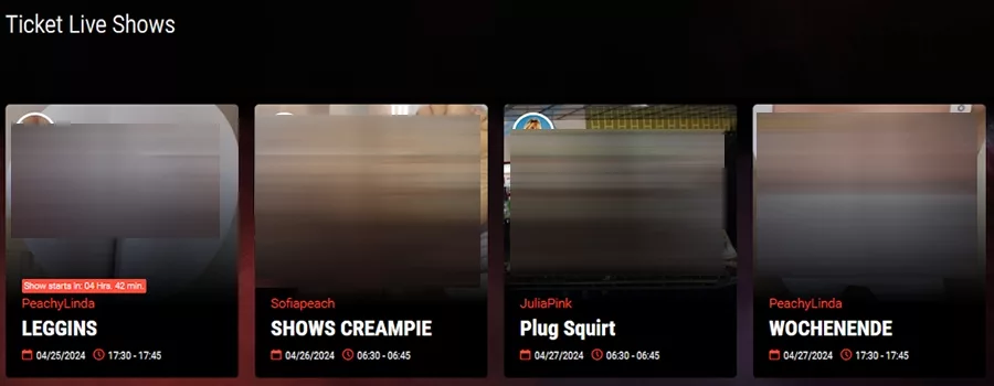 Entradas para los espectáculos de VisitX