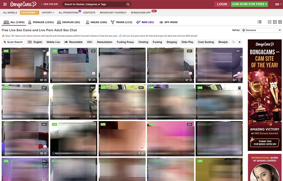 BongaCams homepage example of standard view