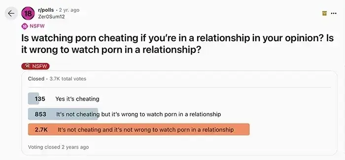 Is porn cheating (poll results)