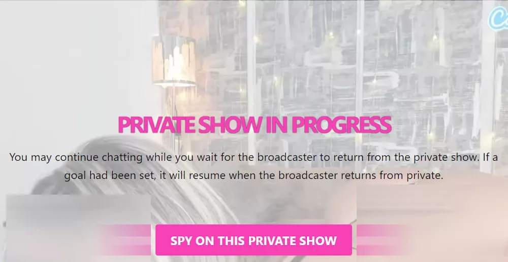 Espectáculo privado en curso