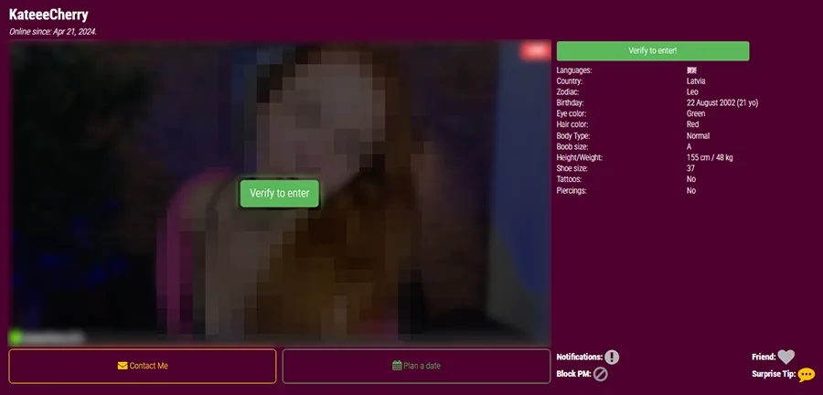 SecretFriends Verify Prompts