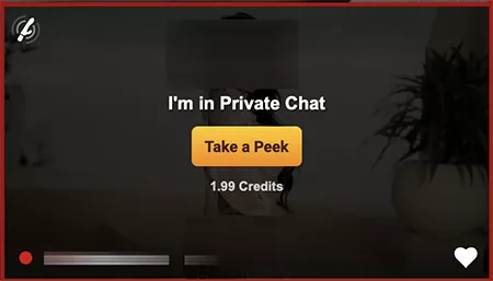 «Take a Peek», el equivalente al modo «voyeur» de LJ